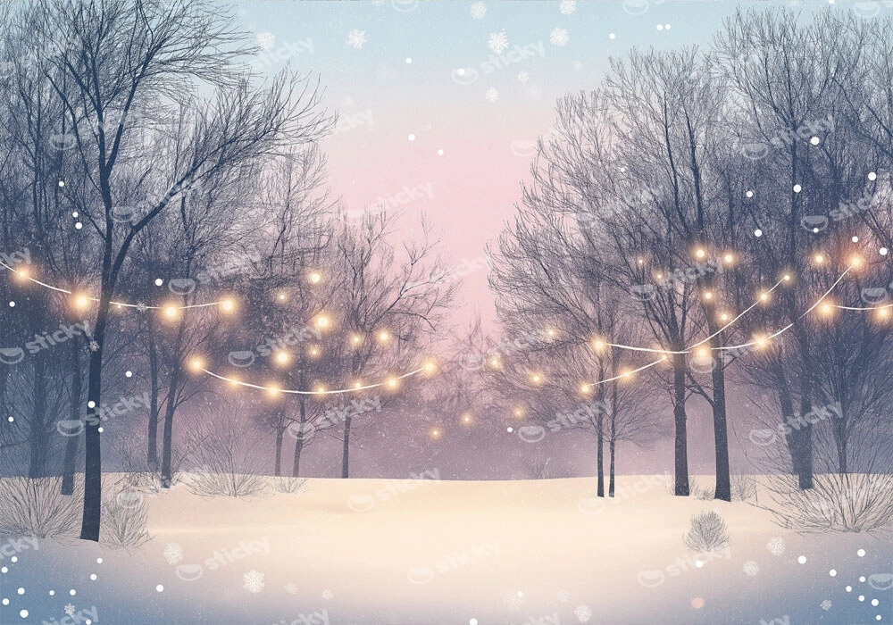Πινακας σε καμβά WINTER LIGHTS