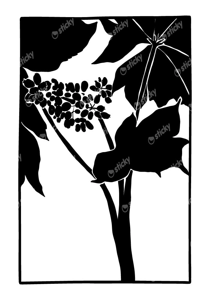 Πόστερ ABSTRACT BLACK AND WHITE LEAVES