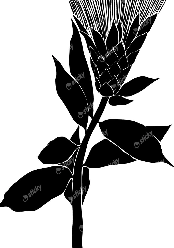 Πόστερ ABSTRACT BLACK AND WHITE FLOWER