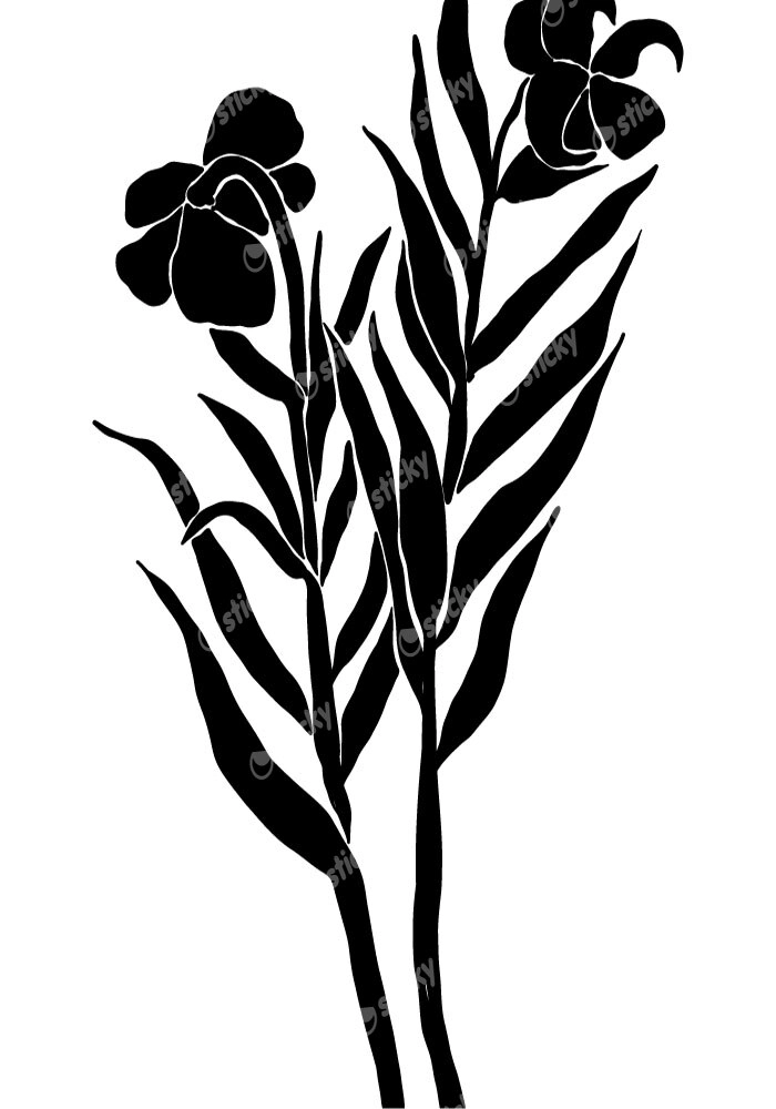 Πόστερ ABSTRACT BLACK AND WHITE FLOWERS