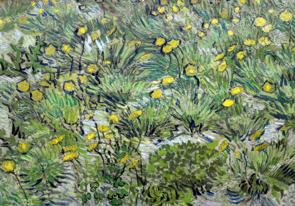 Πινακας σε καμβά VAN GOGH - LES PISSENLITS