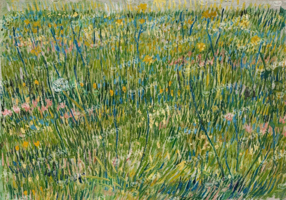 Πινακας σε καμβά VAN GOGH - PATCH OF GRASS