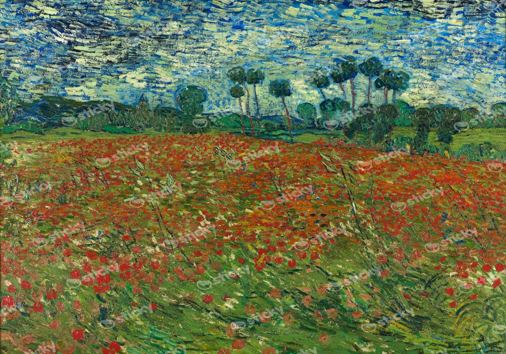 Πινακας σε καμβά VAN GOGH - POPPY FIELD