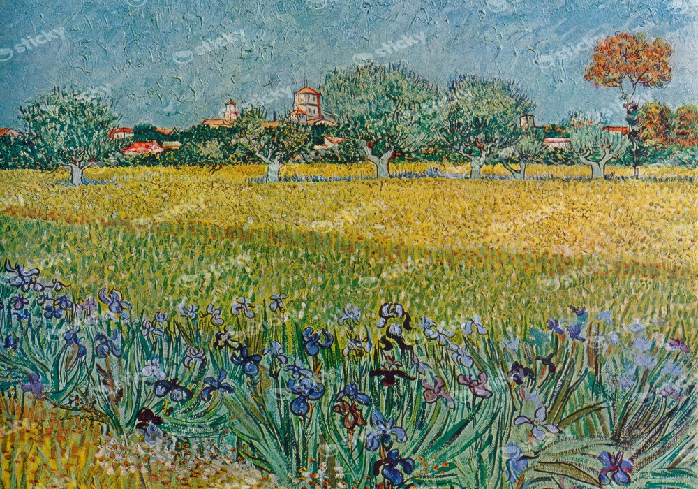 Πινακας σε καμβά VAN GOGH - VIEW OF ALES WITH IRISES IN BLOOM