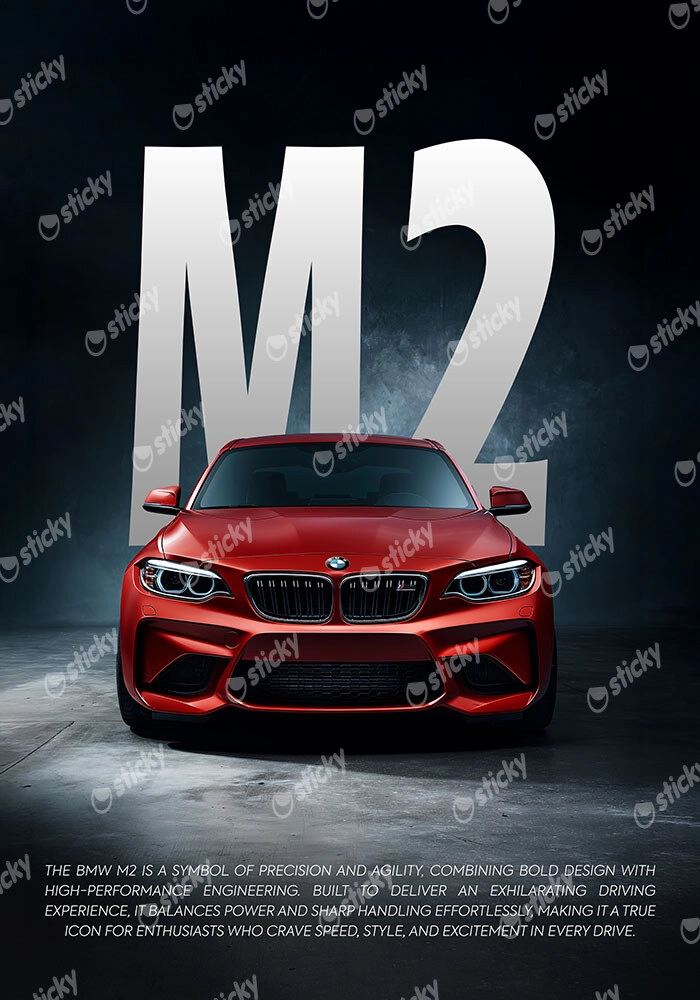 Πινακας σε καμβά BMW M2 RED