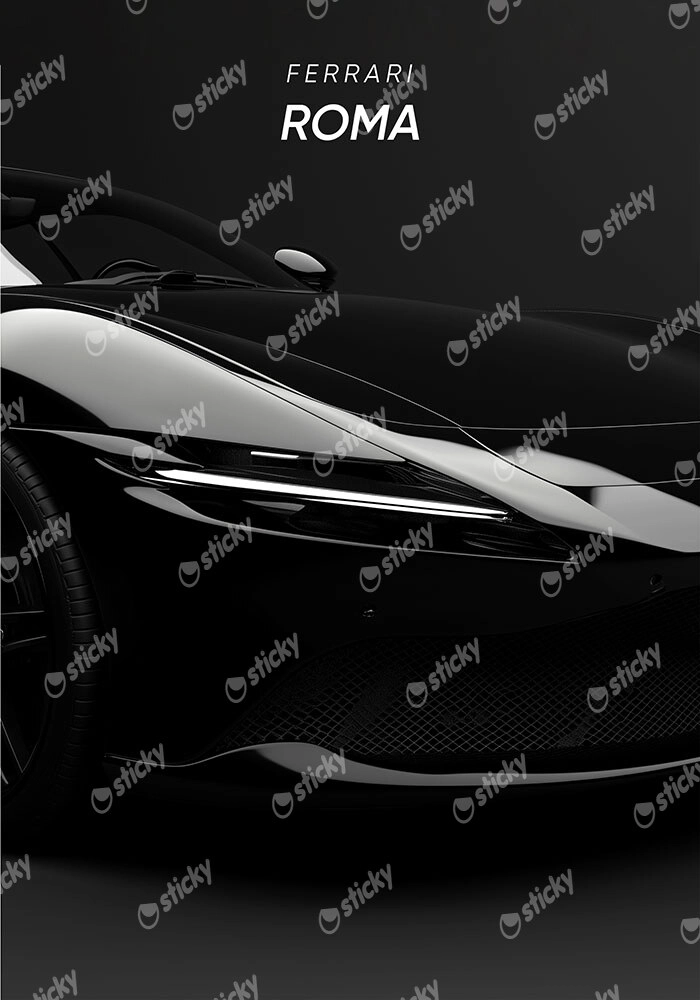 Πινακας σε καμβά FERRARI ROMA
