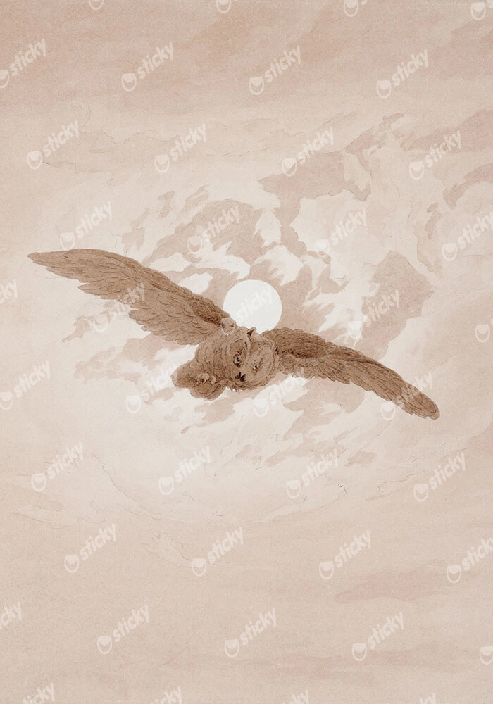 Πίνακας σε Καμβά CASPAR DAVID FRIEDRICH - OWL FLYING AGAINST A MOONLIT SKY