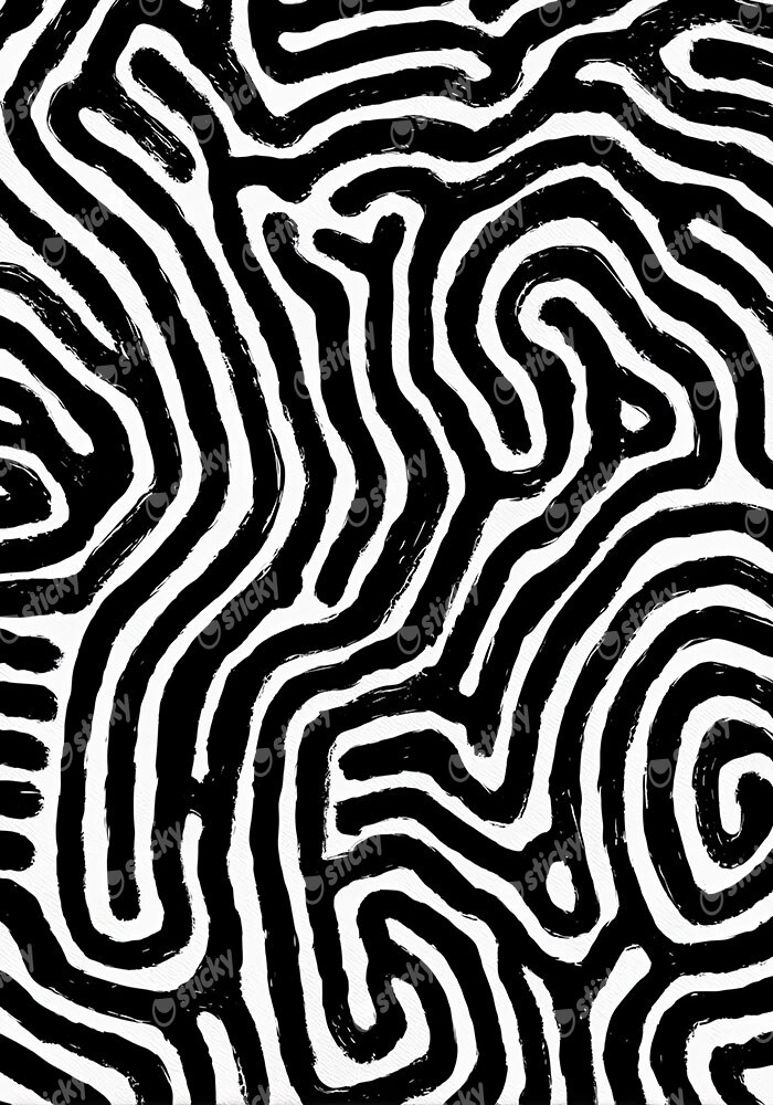 Πίνακας σε Καμβά BOHO BLACK & WHITE ORGANIC SWIRLING LINES