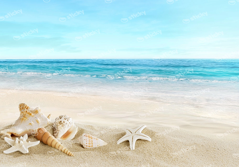 Πινακας σε καμβά BEACH SHELLS