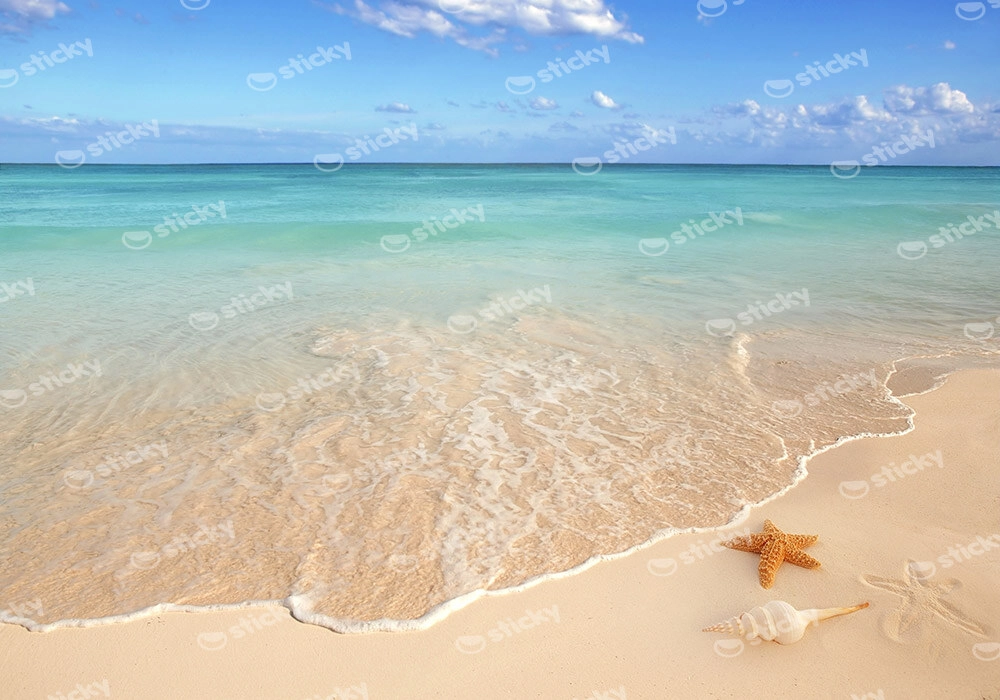 Πινακας σε καμβά CARIBBEAN BEACH