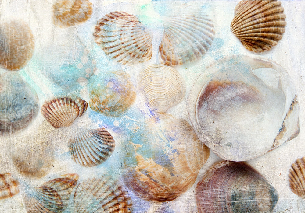 Πινακας σε καμβά GRUNGE SHELLS