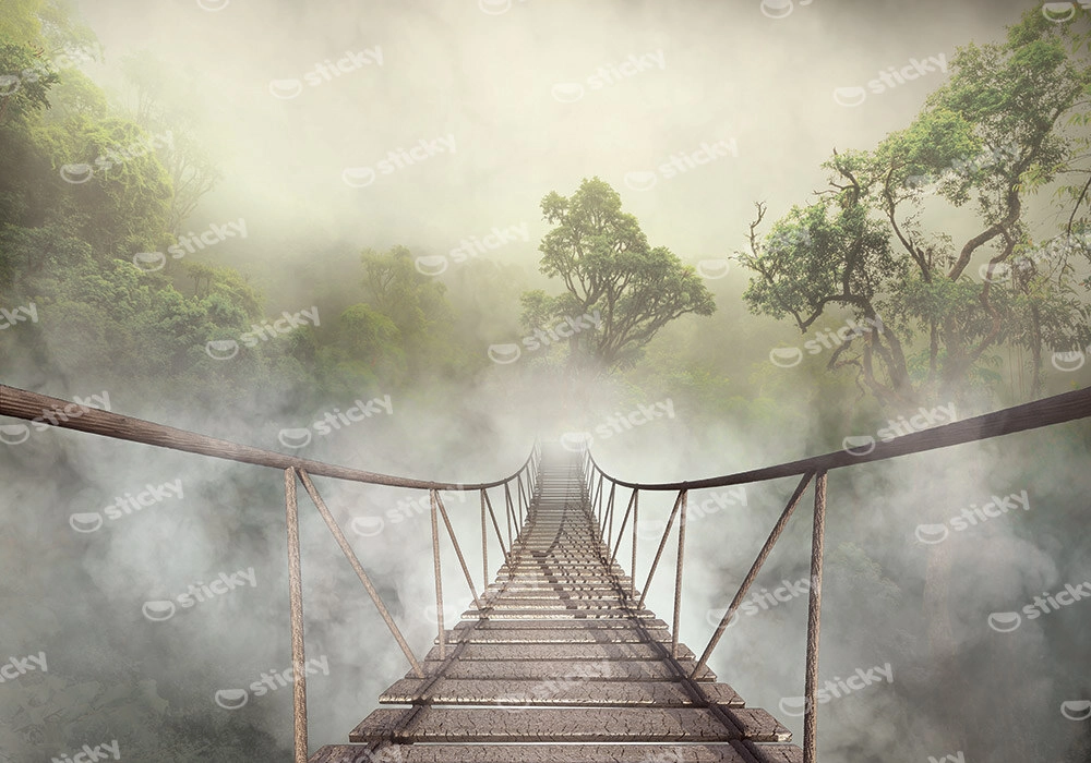 Πινακας σε καμβά JUNGLE BRIDGE