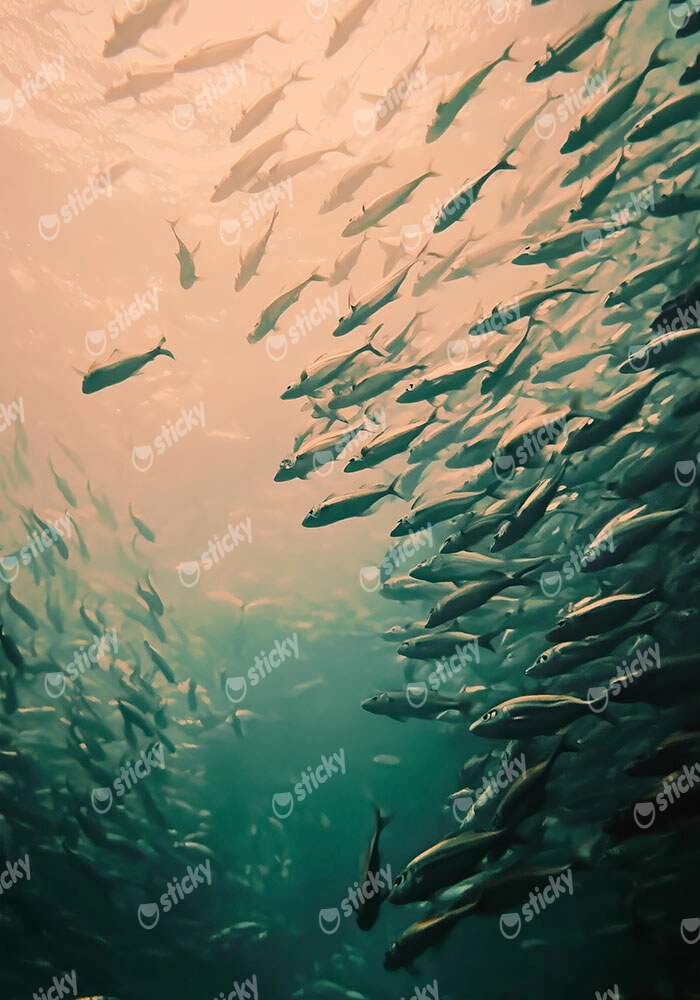 Πίνακας σε Καμβά VINTAGE PASTEL FISH