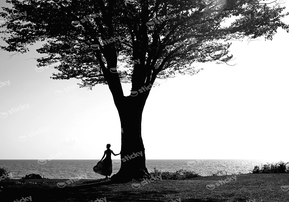 Πινακας σε καμβά PEACEFUL
