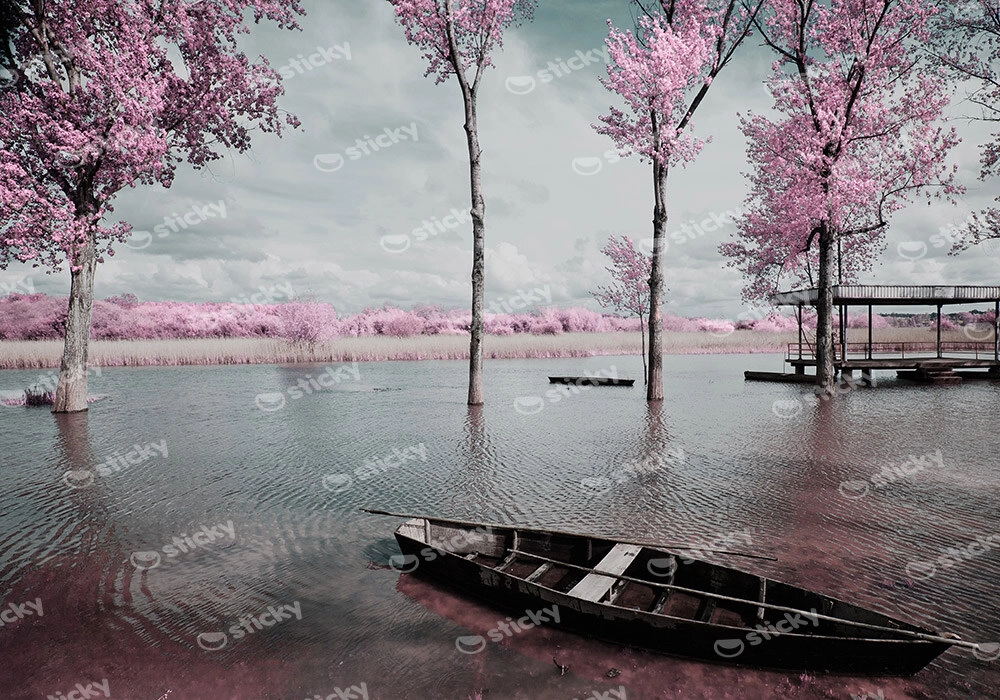 Πινακας σε καμβά PINK LAKE BOAT