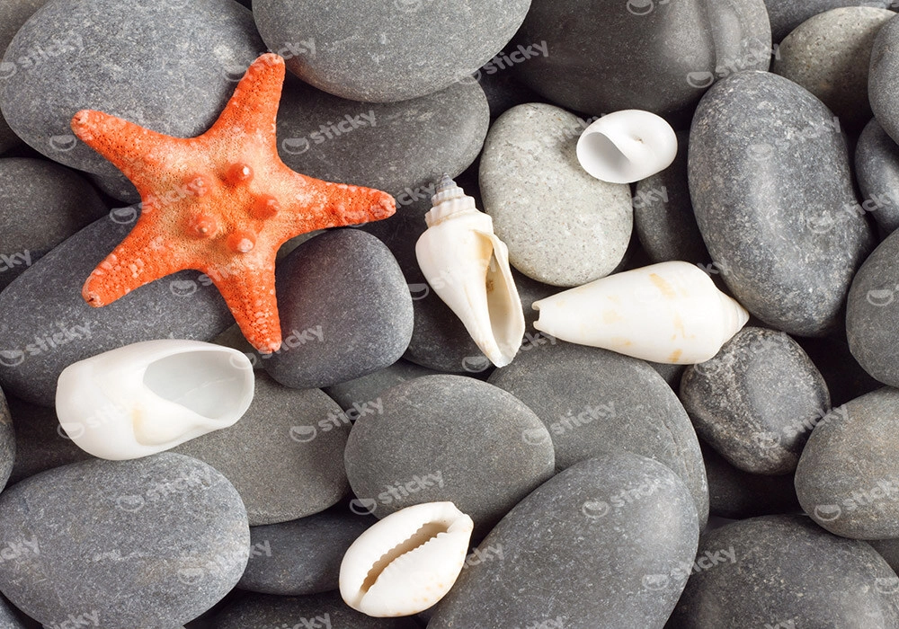 Πινακας σε καμβά STARFISH 2