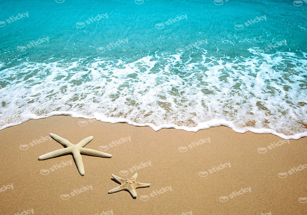 Πινακας σε καμβά STARFISHES SAND