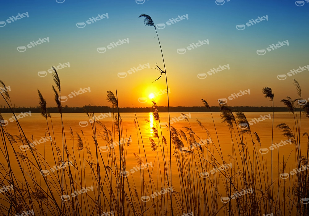 Πινακας σε καμβά SUNSET 1