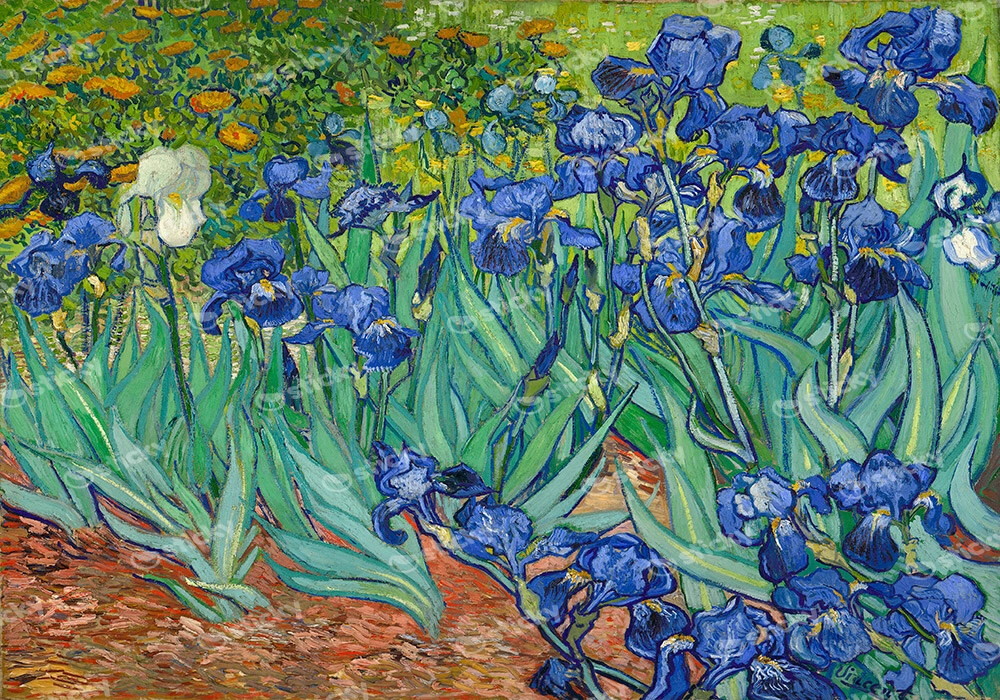 Πινακας σε καμβά VAN GOGH - IRISES