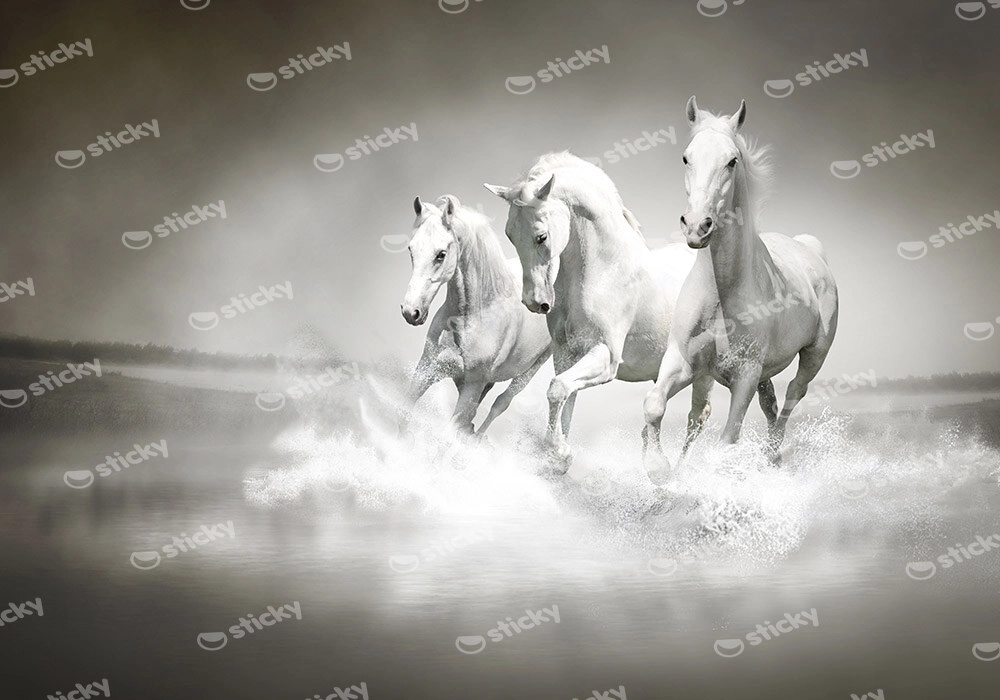 Πινακας σε καμβά WILD HORSES