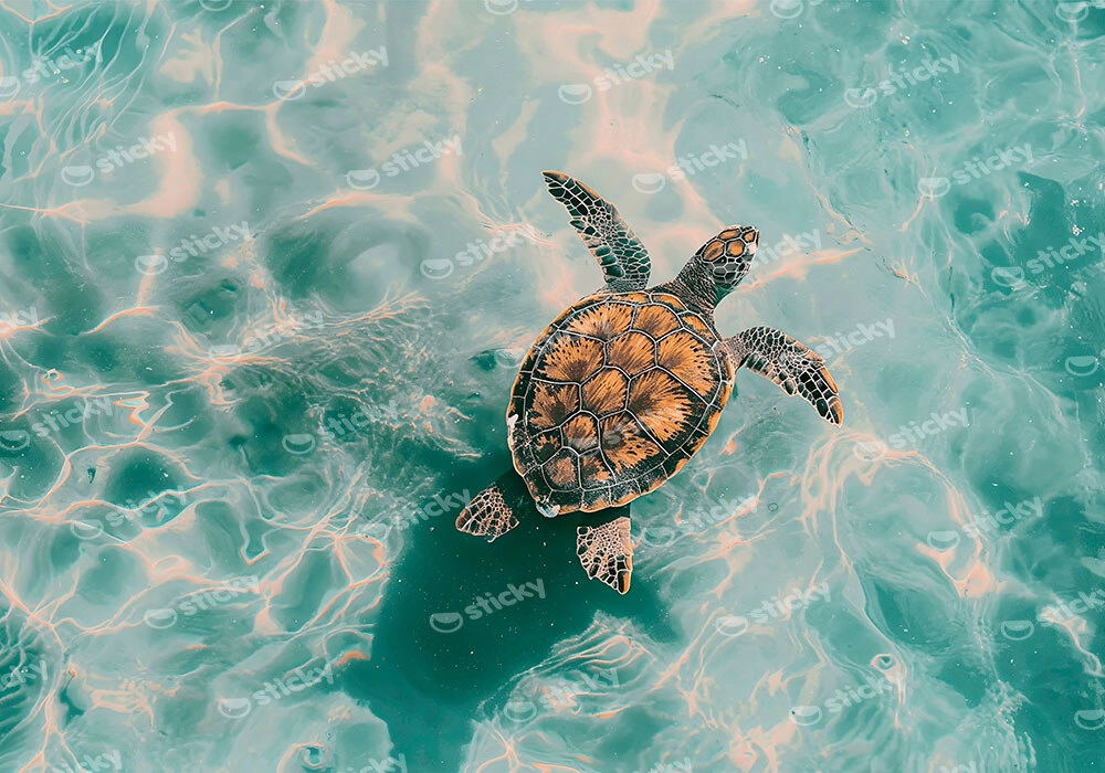 Πίνακας σε Καμβά VINTAGE PASTEL SEA TURTLE 6
