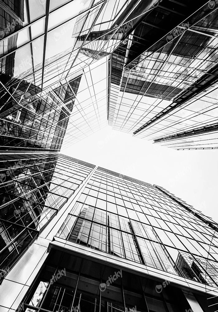 Πίνακας σε Καμβά BLACK AND WHITE ARCHITECTURAL SKYSCRAPERS