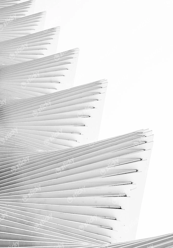 Πίνακας σε Καμβά BLACK AND WHITE ARCHITECTURAL WAVY STRUCTURAL BEAMS