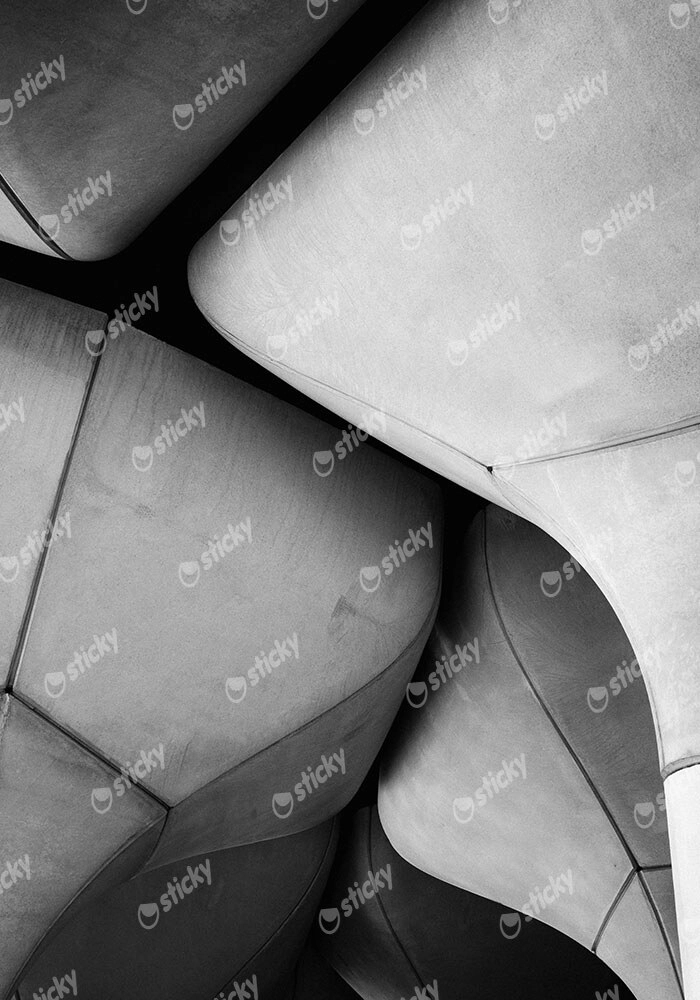 Πίνακας σε Καμβά BLACK AND WHITE ARCHITECTURAL CONCRETE TULIP