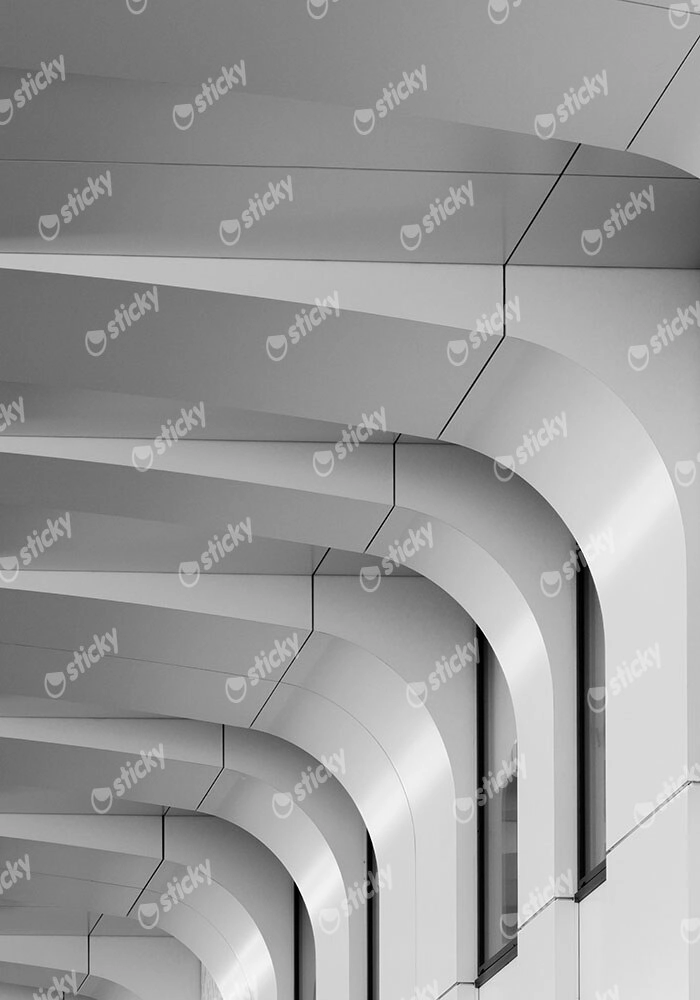Πίνακας σε Καμβά BLACK AND WHITE ARCHITECTURAL CURVED CEILING ELEMENTS