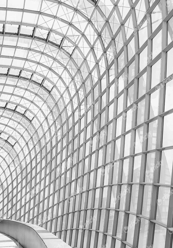 Πίνακας σε Καμβά BLACK AND WHITE ARCHITECTURAL CURVED GLASS ROOF