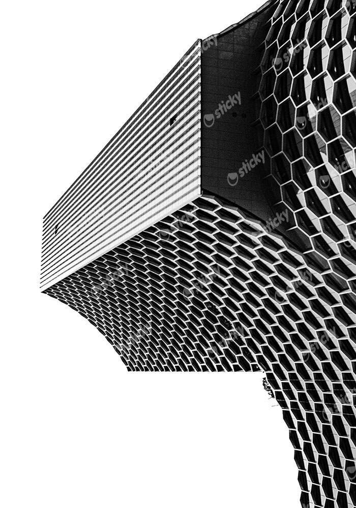 Πίνακας σε Καμβά BLACK AND WHITE ARCHITECTURAL HONEYCOMB FACADE 2
