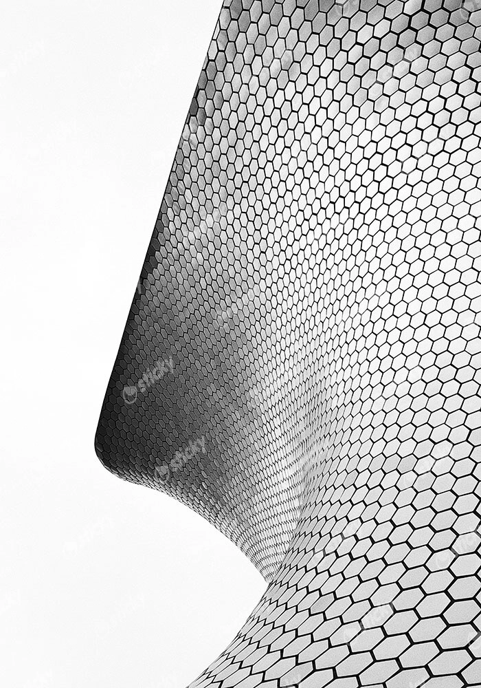 Πίνακας σε Καμβά BLACK AND WHITE ARCHITECTURAL HONEYCOMB FACADE