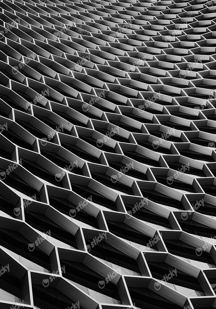 Πίνακας σε Καμβά BLACK AND WHITE ARCHITECTURAL HONEYCOMB STRUCTURE 2