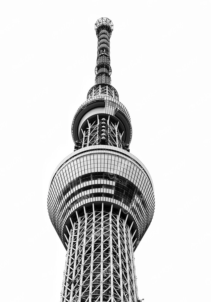 Πίνακας σε Καμβά BLACK AND WHITE ARCHITECTURAL OBSERVATION TOWER