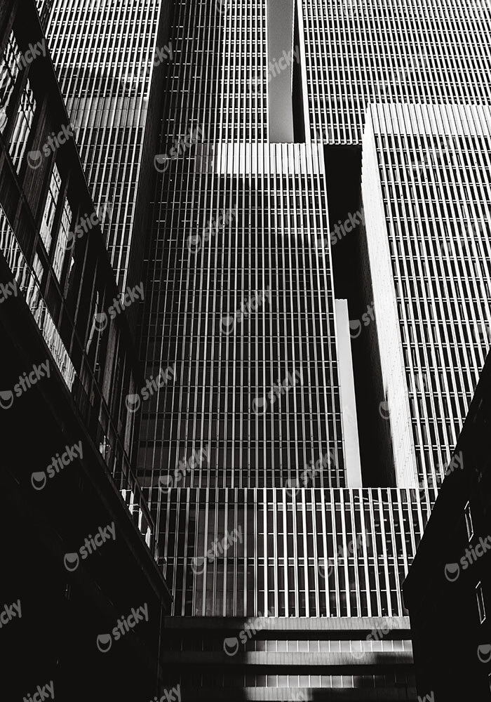 Πίνακας σε Καμβά BLACK AND WHITE ARCHITECTURAL VERTICAL LINES BUILDING