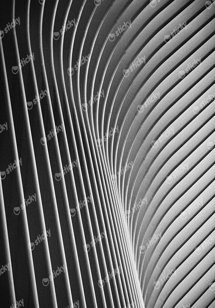 Πίνακας σε Καμβά BLACK AND WHITE ARCHITECTURAL WAVY STRUCTURAL ELEMENTS