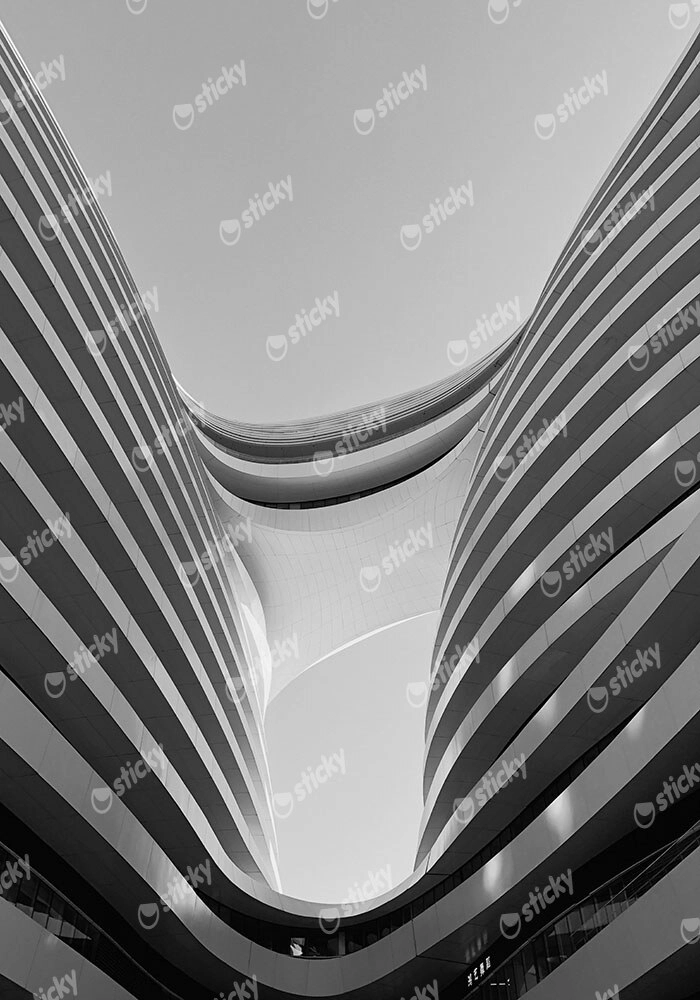 Πίνακας σε Καμβά BLACK AND WHITE ARCHITECTURAL FLOWING CURVES