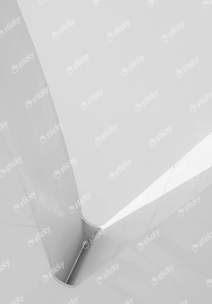 Πίνακας σε Καμβά BLACK AND WHITE ARCHITECTURAL FLUID FORM