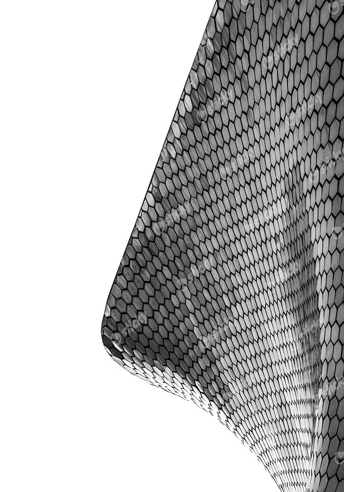 Πίνακας σε Καμβά BLACK AND WHITE ARCHITECTURAL HEXAGONAL EXTERIOR FACADE