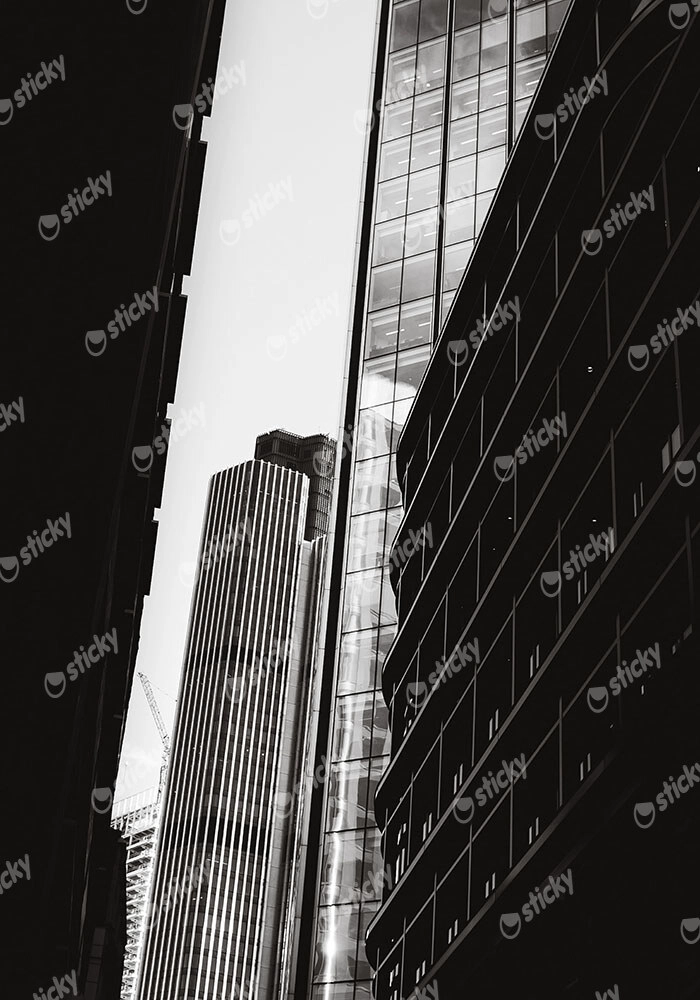 Πίνακας σε Καμβά BLACK AND WHITE ARCHITECTURAL LINES OF SKYSCRAPPERS