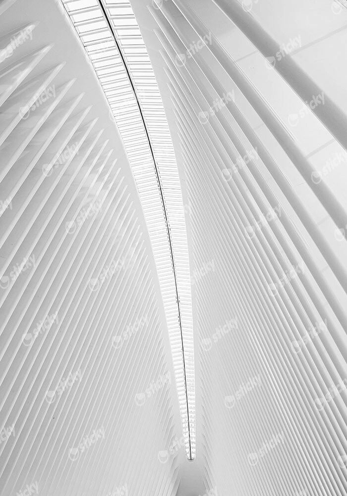 Πίνακας σε Καμβά BLACK AND WHITE ARCHITECTURAL WHITE STEEL RIBS
