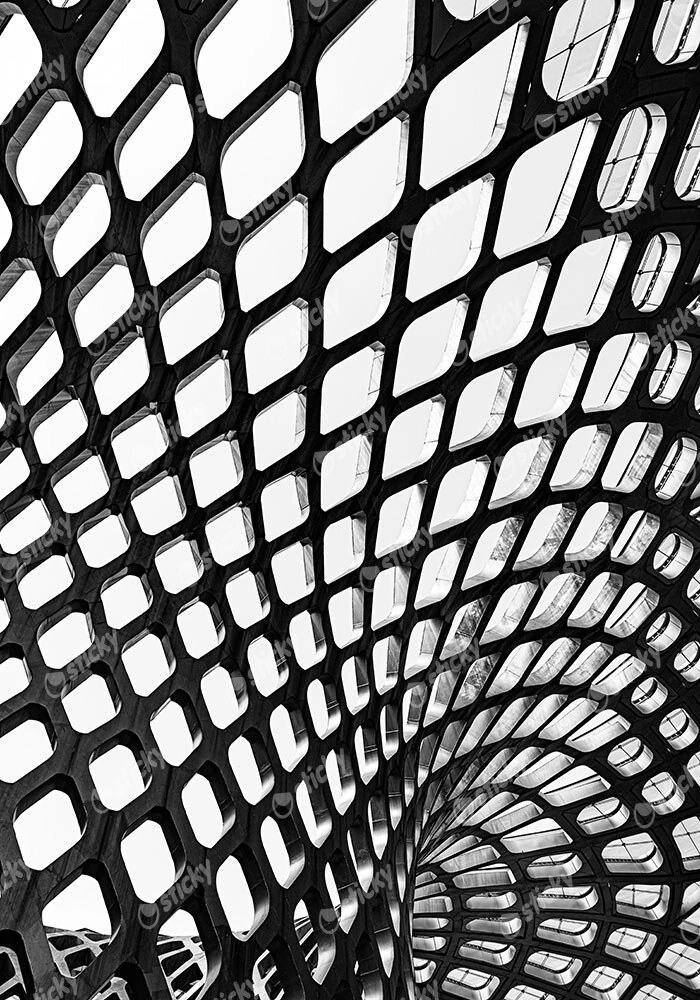 Πίνακας σε Καμβά BLACK AND WHITE ARCHITECTURAL COCOON GEOMETRIC PATTERN