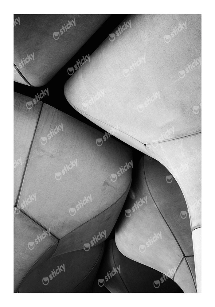 Poster BLACK AND WHITE ARCHITECTURAL CONCRETE TULIP