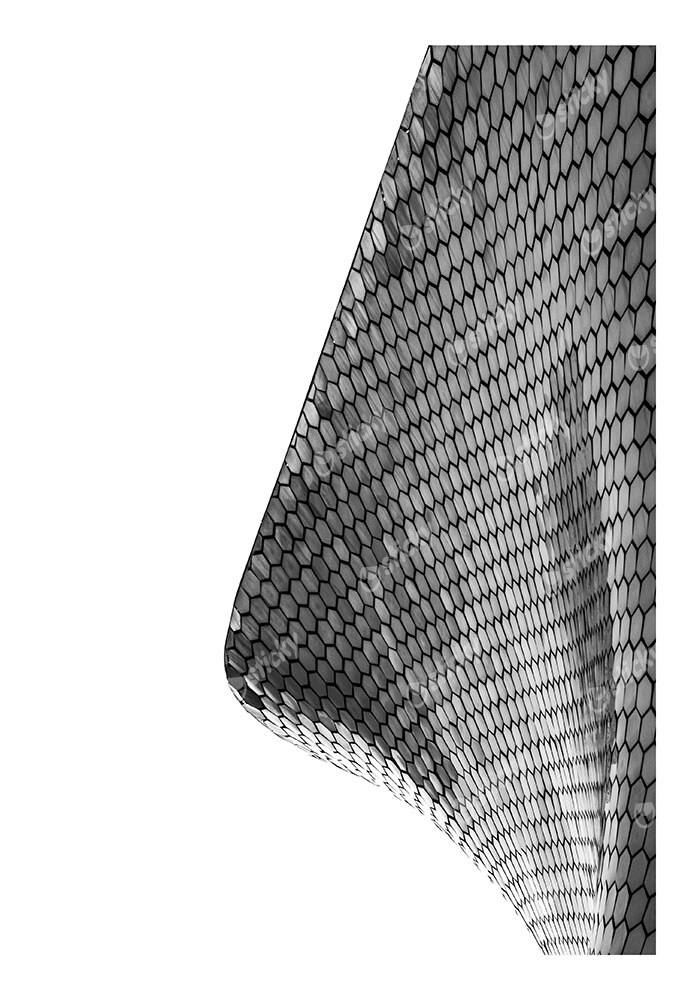 Poster BLACK AND WHITE ARCHITECTURAL HEXAGONAL EXTERIOR FACADE