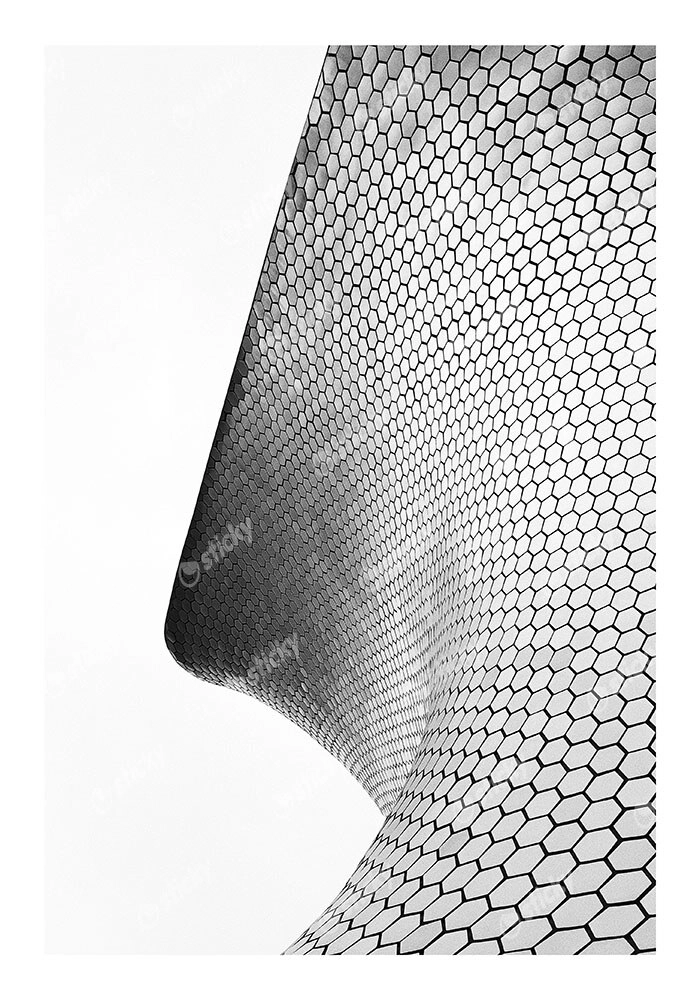 Poster BLACK AND WHITE ARCHITECTURAL HONEYCOMB FACADE