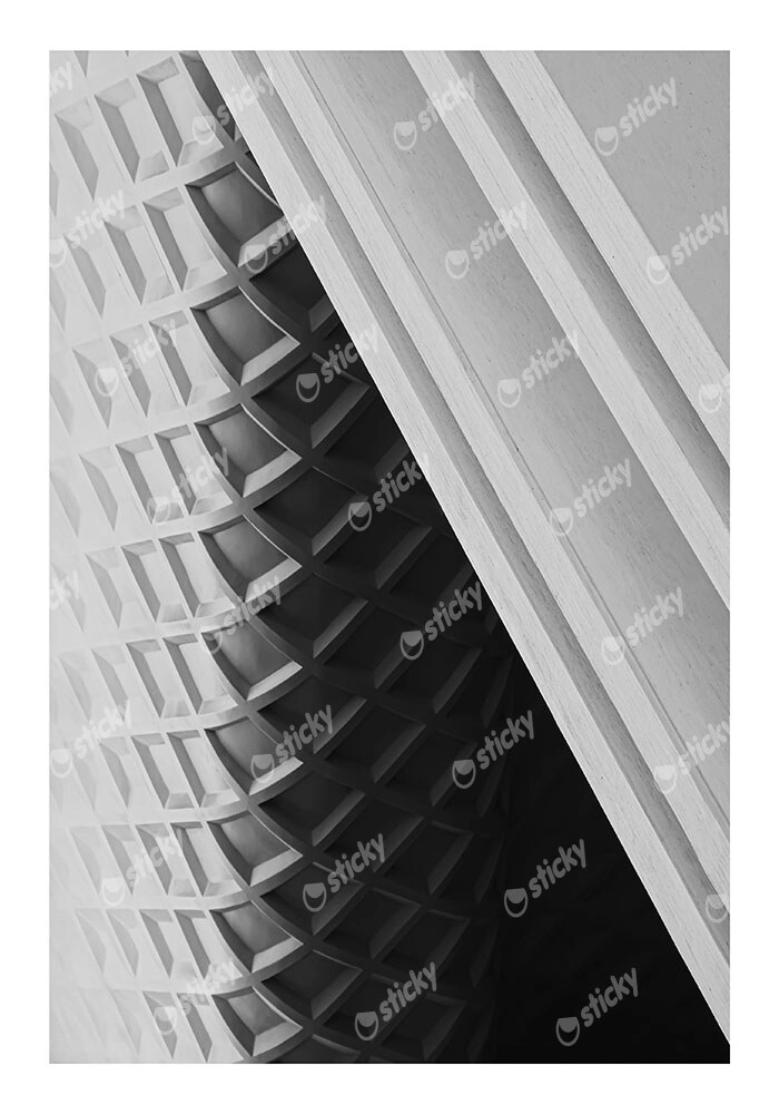 Poster BLACK AND WHITE ARCHITECTURAL MODERN GEOMETRIC ROOF