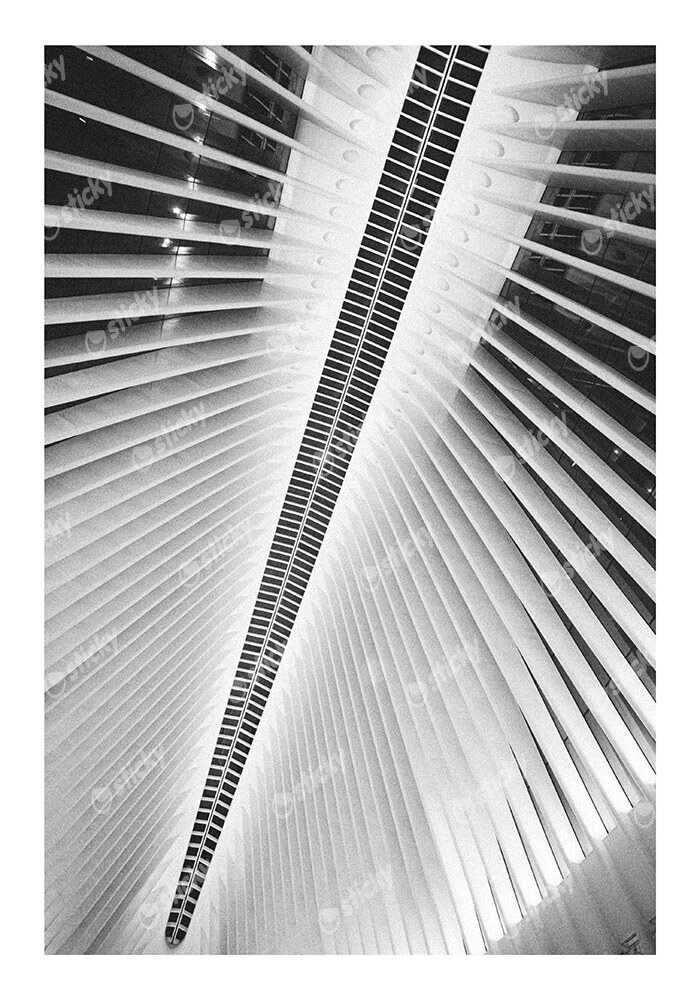 Poster BLACK AND WHITE ARCHITECTURAL SKYLIGHT 6