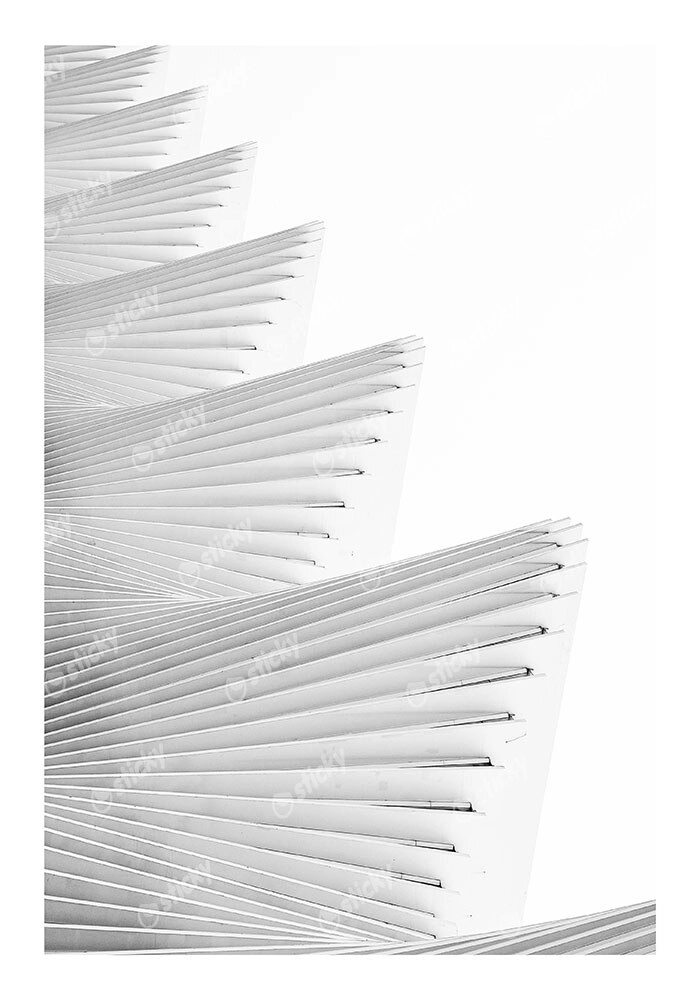 Poster BLACK AND WHITE ARCHITECTURAL WAVY STRUCTURAL BEAMS