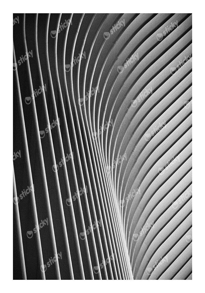 Poster BLACK AND WHITE ARCHITECTURAL WAVY STRUCTURAL ELEMENTS
