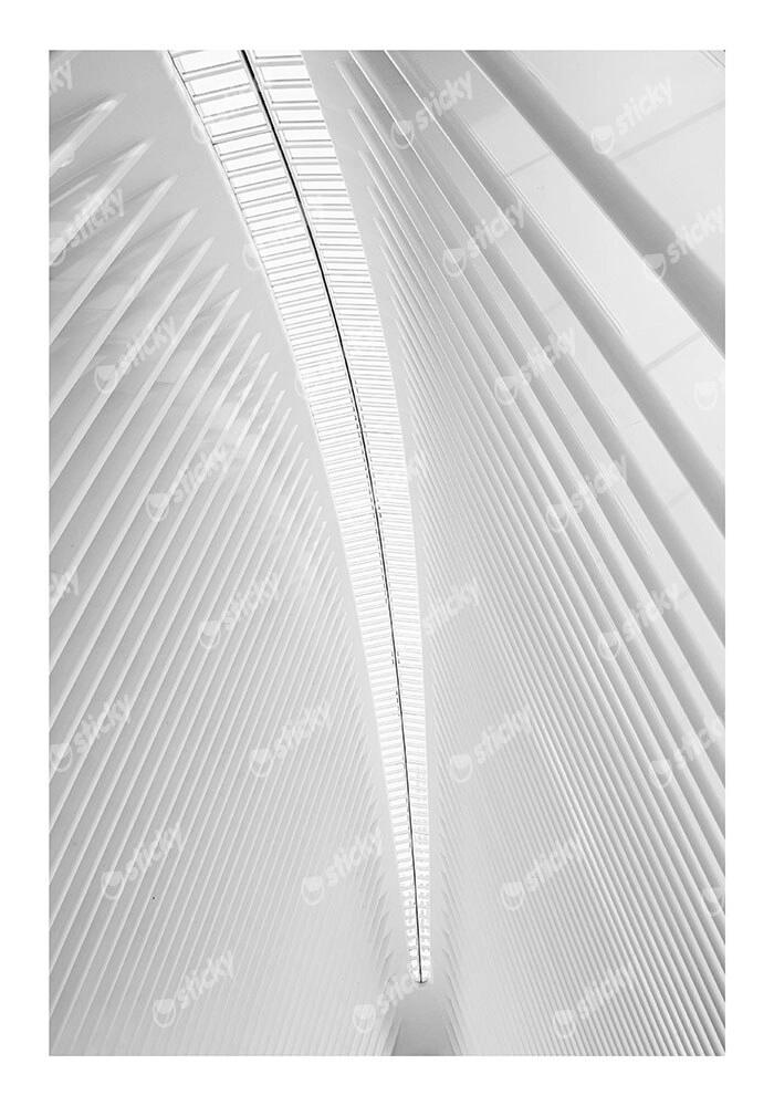 Poster BLACK AND WHITE ARCHITECTURAL WHITE STEEL RIBS